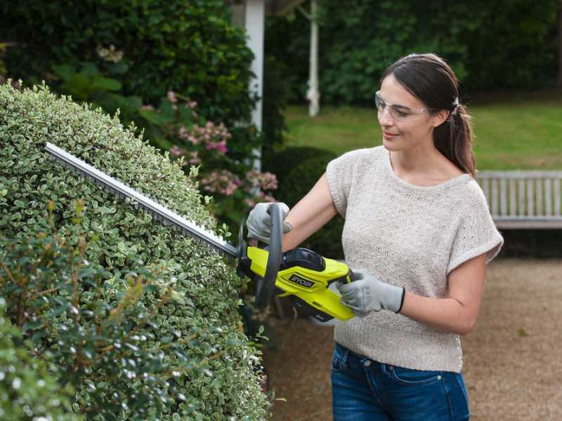RYOBI Battery powered Hedge Trimmer 18V 45cm Blade best deal on AgriEuro