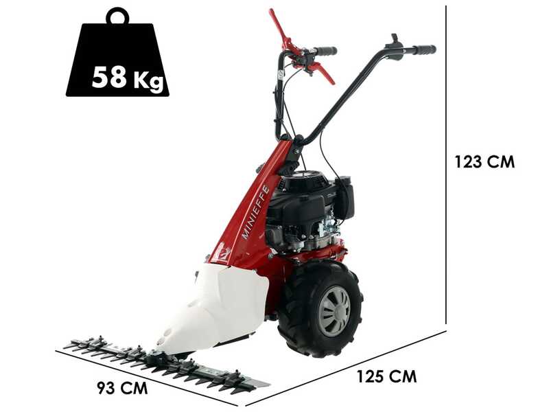 Eurosystems Minieffe RM - Multifunctional motor mower - Loncin L200 OHV