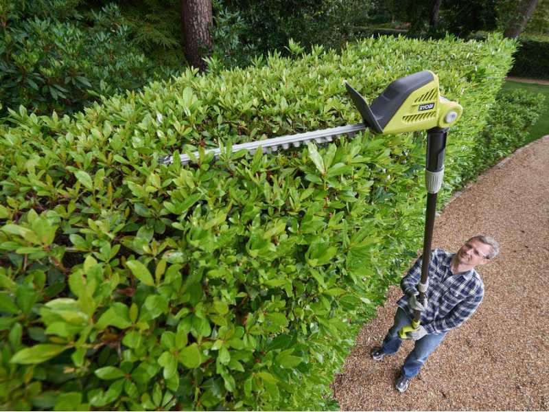 Ryobi 18v one+ telescopic store pole hedge trimmer attachment