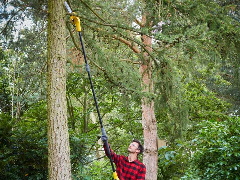 Stanley shop pruning saw