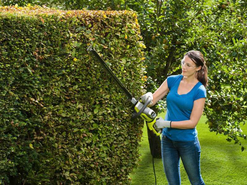 Ryobi 650w hedge trimmer shop