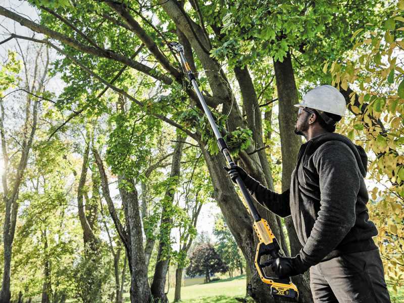 Battery power tree trimmer sale