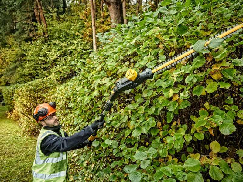 Electric Hedge Trimmer DEWALT DCMPH566N XJ best deal on AgriEuro