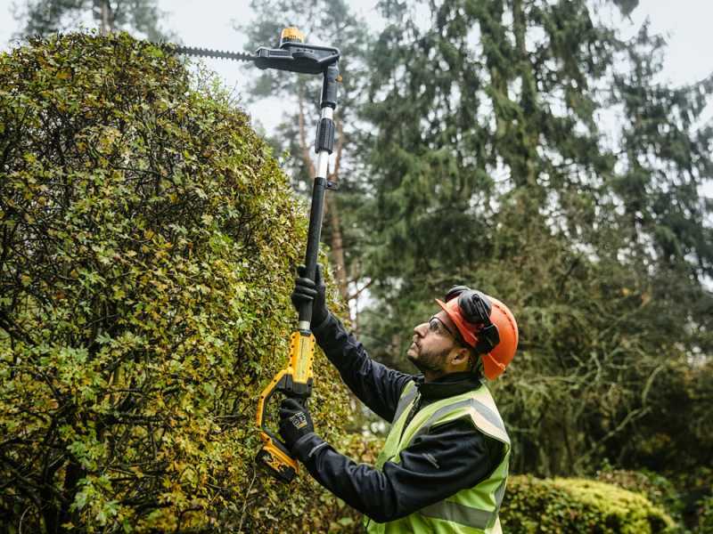 Dewalt hedge store