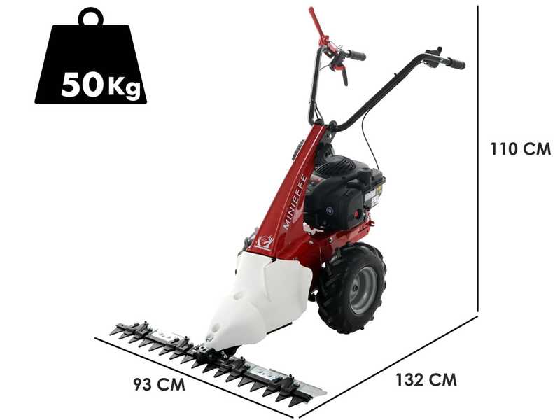 Eurosystems Minieffe - Multifunctional motor mower - B&amp;S 450E