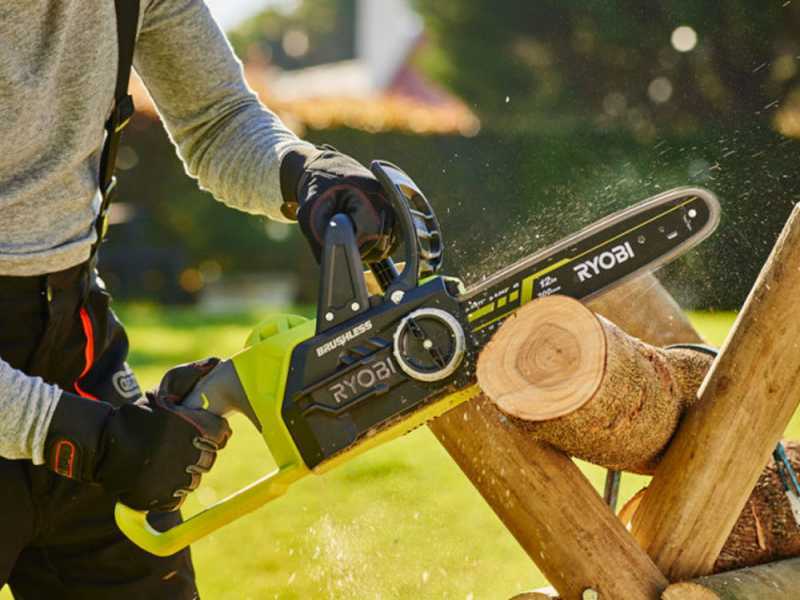 Ryobi 12v shop chainsaw