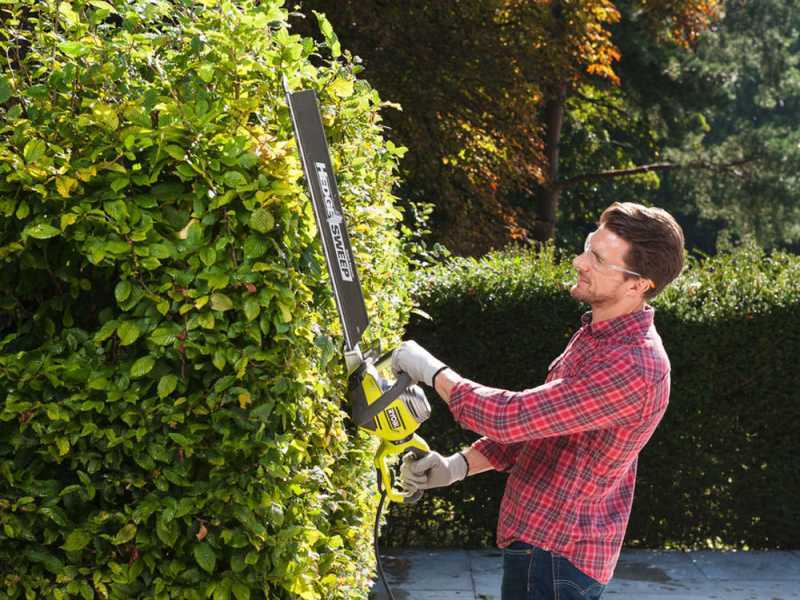 Ryobi 450w pole hedge trimmer review on sale