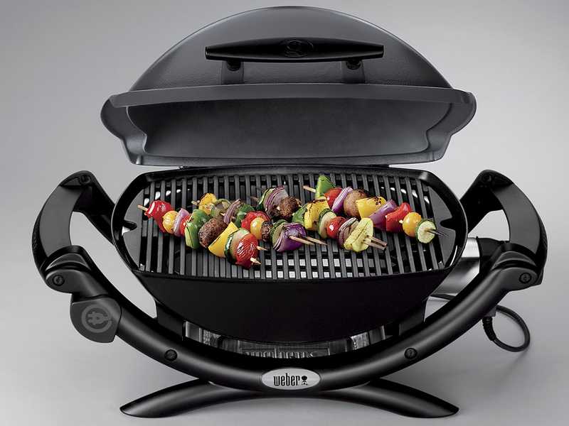 Weber electric smoker store