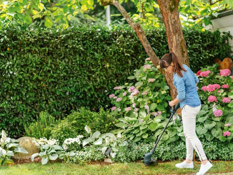 Bosch EasyGrassCut 23 Electric Edge Strimmer - 280W 