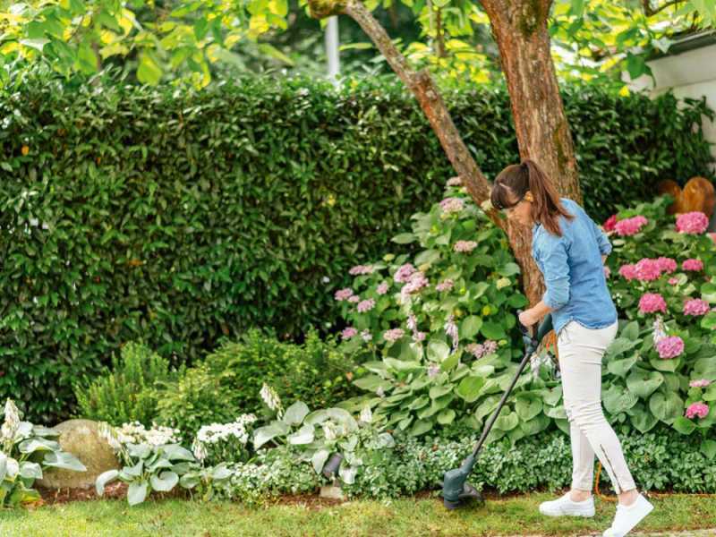 Bosch EasyGrassCut 26 - Electric edge strimmer - 280 W