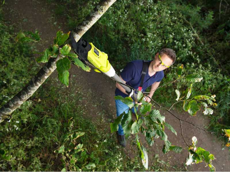 RYOBI RY18PLA 0 Battery powered Pruning Shears 18 V 4Ah