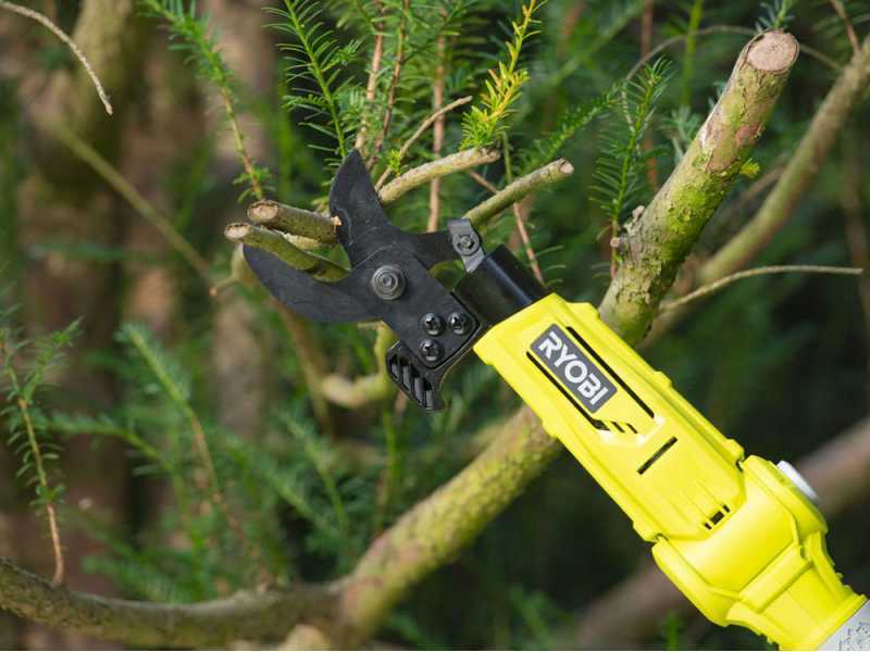 RYOBI RY18PLA 0 Battery powered Pruning Shears 18 V best deal on AgriEuro