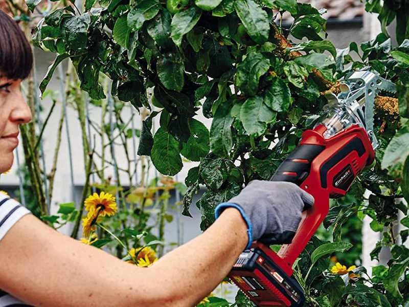 Einhell cheap pruning saw