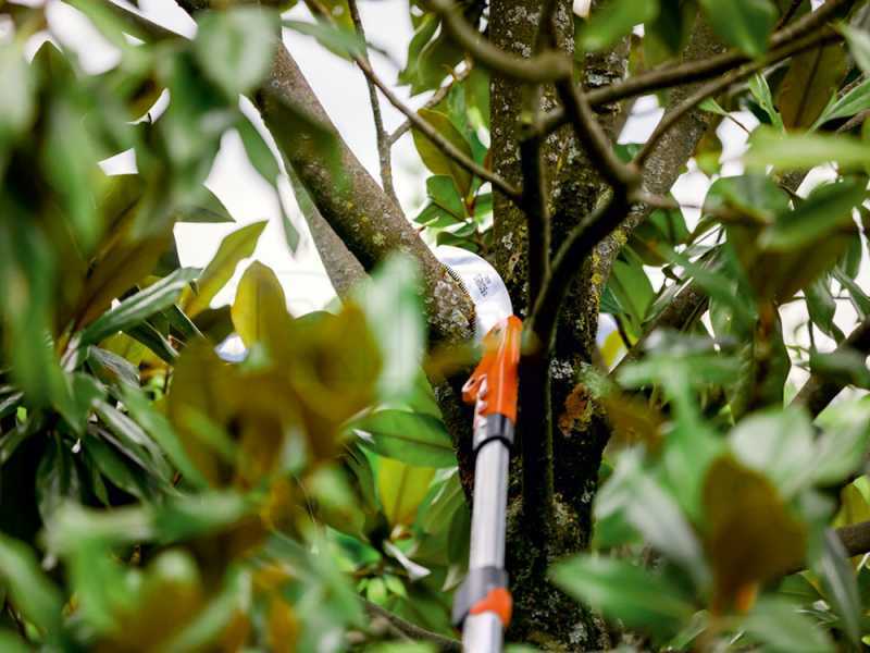 Stocker Sirkos 430 TC Pruning Saw with 265-455 cm telescopic pole