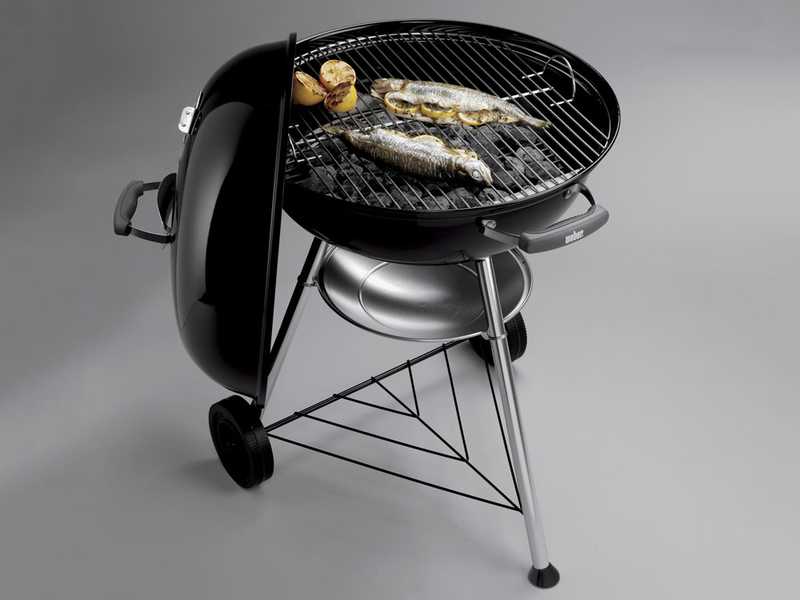 Weber discount compact 47cm