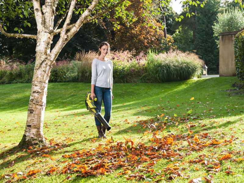 Ryobi leaf blower with battery and charger hot sale
