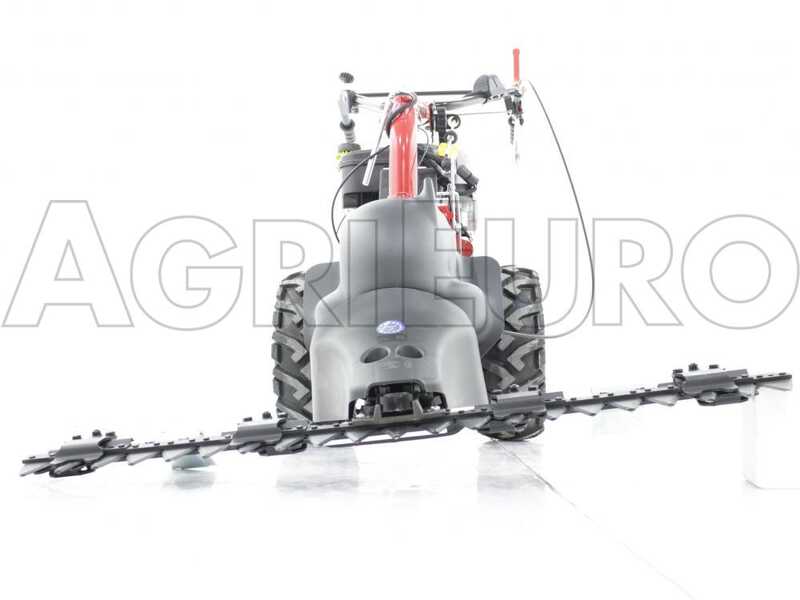 Eurosystems P70 EVO - Multifunctional twin-blade mower - Loncin 224 OHV