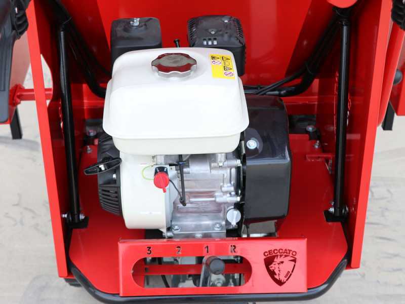 Ceccato Olindo Tritone BIG CINGO - Self-propelled track-mounted garden shredder on wheelbarrow - Honda GX390 engine