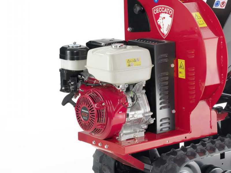 Ceccato Olindo Tritone BIG CINGO - Self-propelled track-mounted garden shredder on wheelbarrow - Honda GX390 engine
