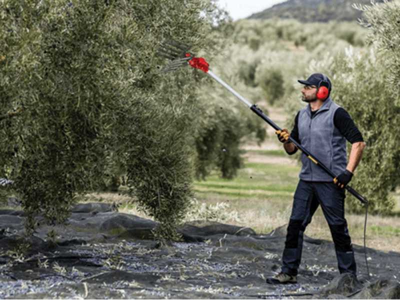 Zanon Olivar Electric AL 300 Battery-powered Electric Olive Harvester, 191/316 cm - Telescopic Aluminium Pole
