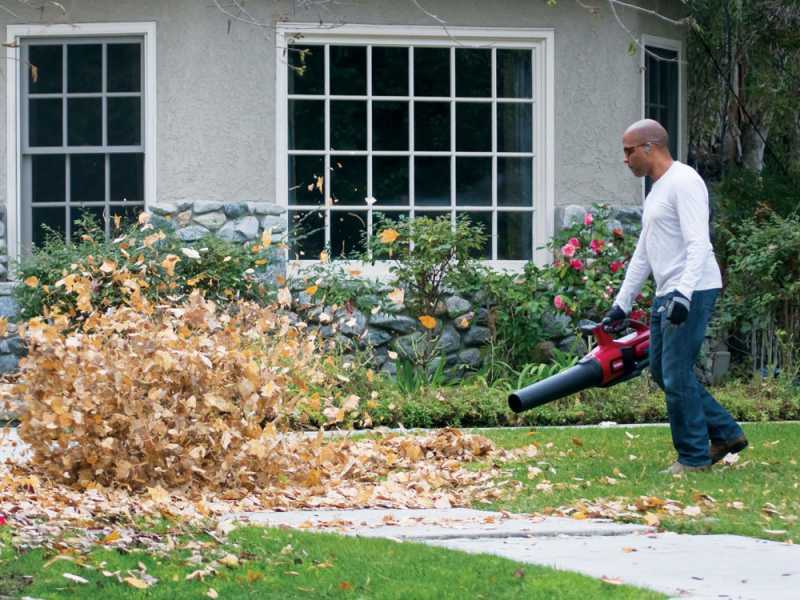 TORO TO 51825T Cordless Leaf Blower 60V best deal on AgriEuro