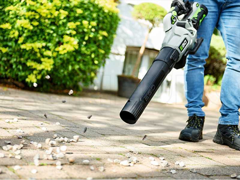 EGO LB5800E Battery powered Leaf Blower 56 V best deal on AgriEuro