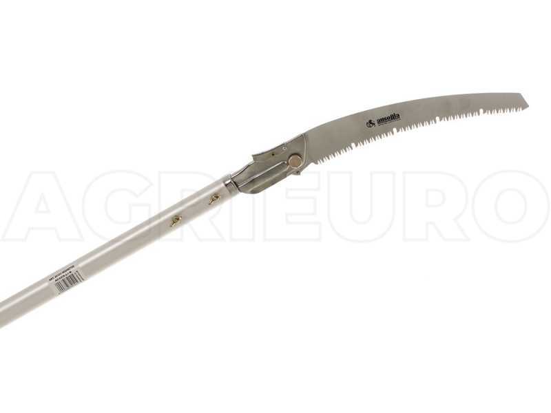 Extension cheap pruning saw