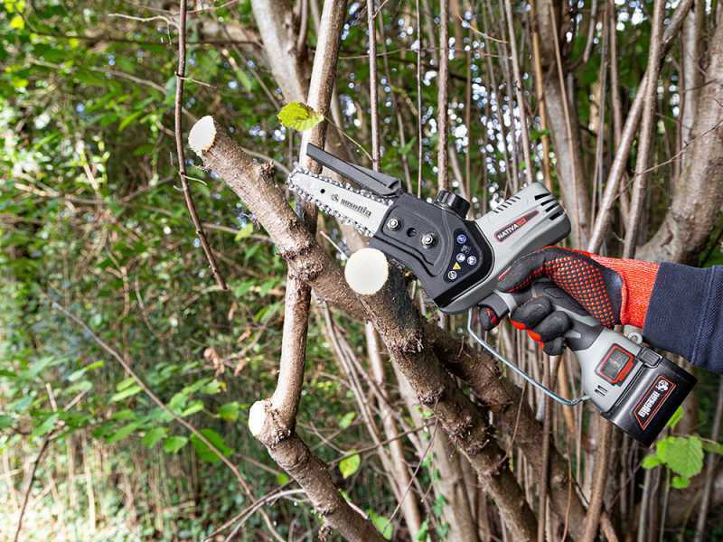 Ausonia Nativa Saw Battery-powered Electric Manual Pruner - 3 24V 2.5Ah Batteries - 100mm Cutting Capacity