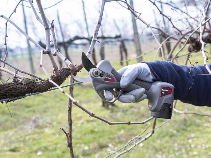 Ausonia Nativa Medium Cordless Pruning Shears - 2 x 16.8 V - 2.5Ah batteries included