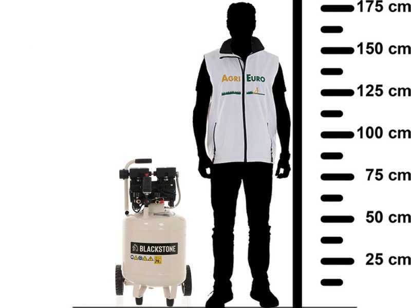 Blackstone V-SBC50-10 - Oilless Electric Silenced Air Compressor - 1 HP Motor - 50 L Vertical