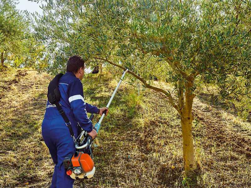 Campagnola GSM Toro Evoluzione K - Fixed Pole - 277 cm - Petrol Olive Shaker with Hook