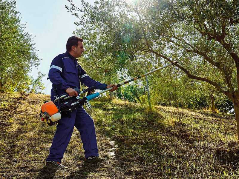 Campagnola GSM Toro Evoluzione K - Fixed Pole - 277 cm - Petrol Olive Shaker with Hook