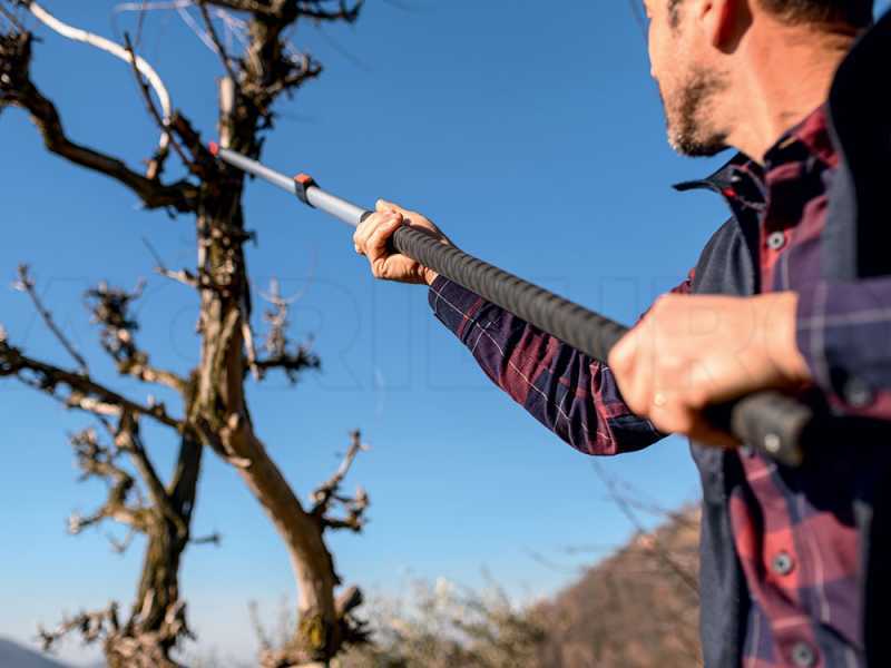 Stocker Corvo 430 TC Pruning Saw with telescopic pole 195-310 cm