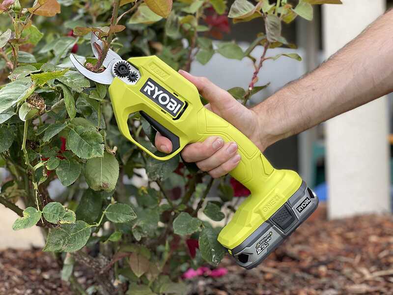 Pruning Shears Ryobi One Shears Buy Ryobi P591 18V One 18 Gauge
