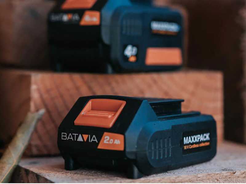 Batavia Cordless Jigsaw for pruning without battery best deal on AgriEuro