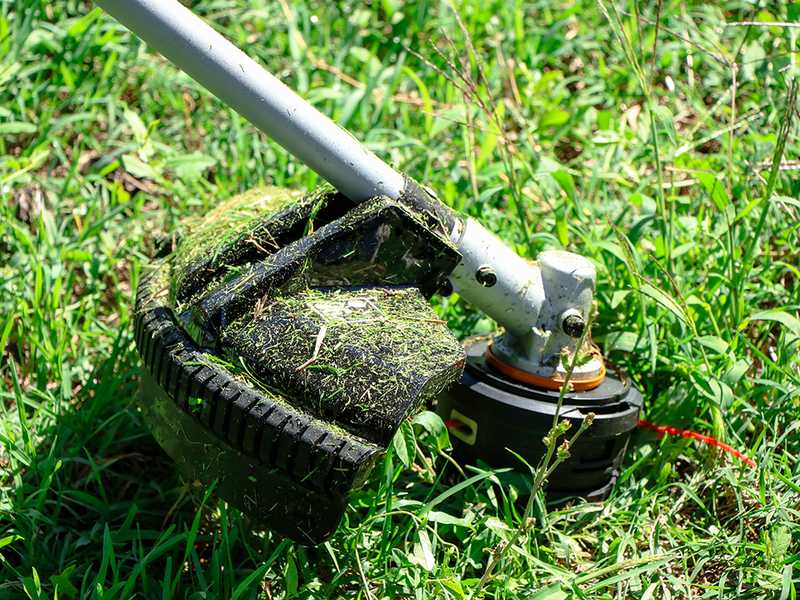 WORX NITRO WG186E.9 Brush Cutter 40V best deal on AgriEuro