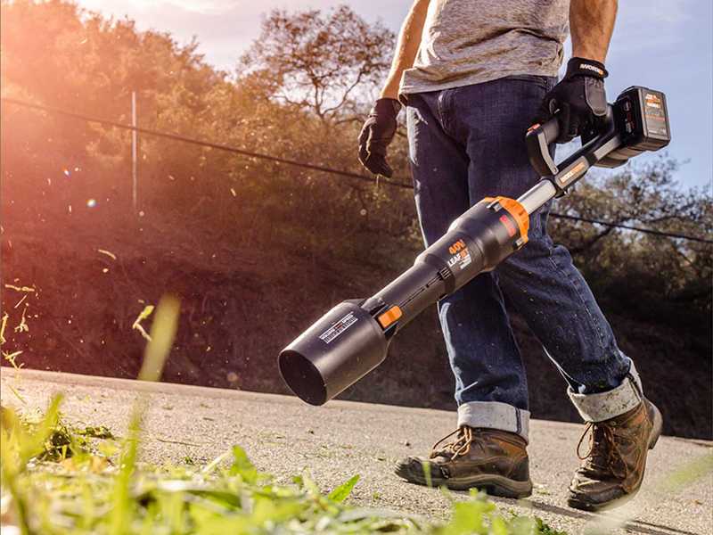 Worx leaf blower and weed eater sale