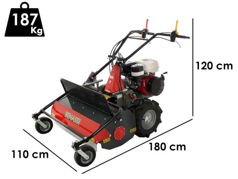 Benassi scarifier on sale