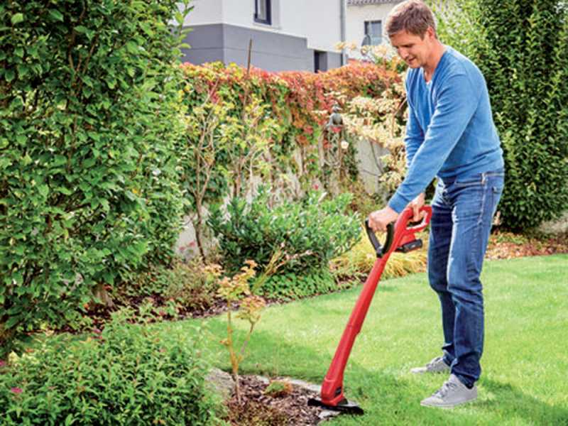 Einhell GC CT 18 24 Li P Solo Edge Trimmer best deal on AgriEuro