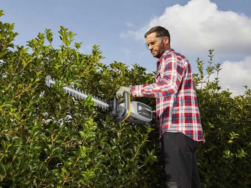 Alpina AHT 48 LI Battery-powered Electric Hedge Trimmer - 58 cm Blade Length - Battery and Battery Charger Included