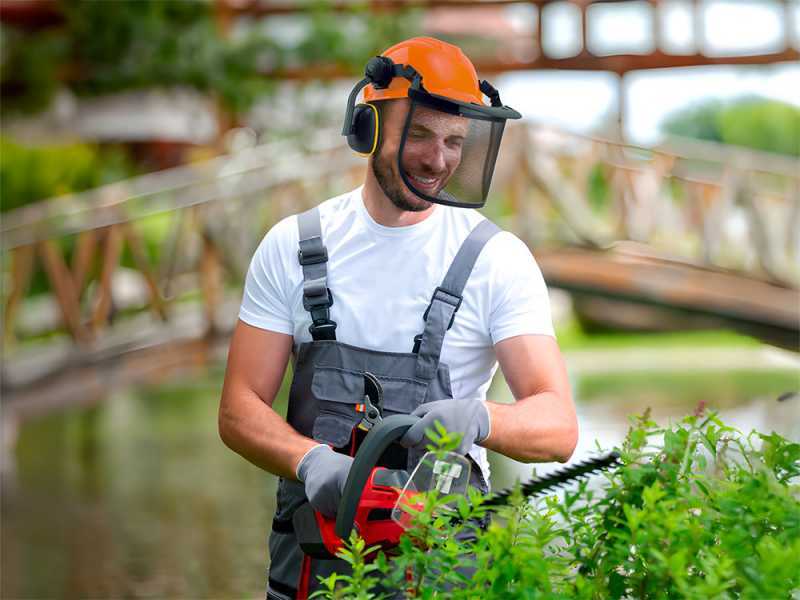 Professional Safety Helmet provided with visor and ear defenders