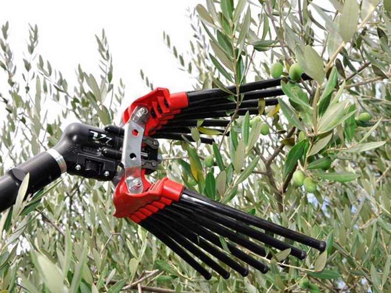Lisam V8 Turbo - Pneumatic Olive Harvester - 6 Bar Olive Shaker - 1800 Beats per Minute