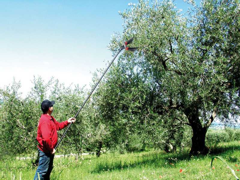 Lisam V8 Turbo - Pneumatic Olive Harvester - 6 Bar Olive Shaker - 1800 Beats per Minute
