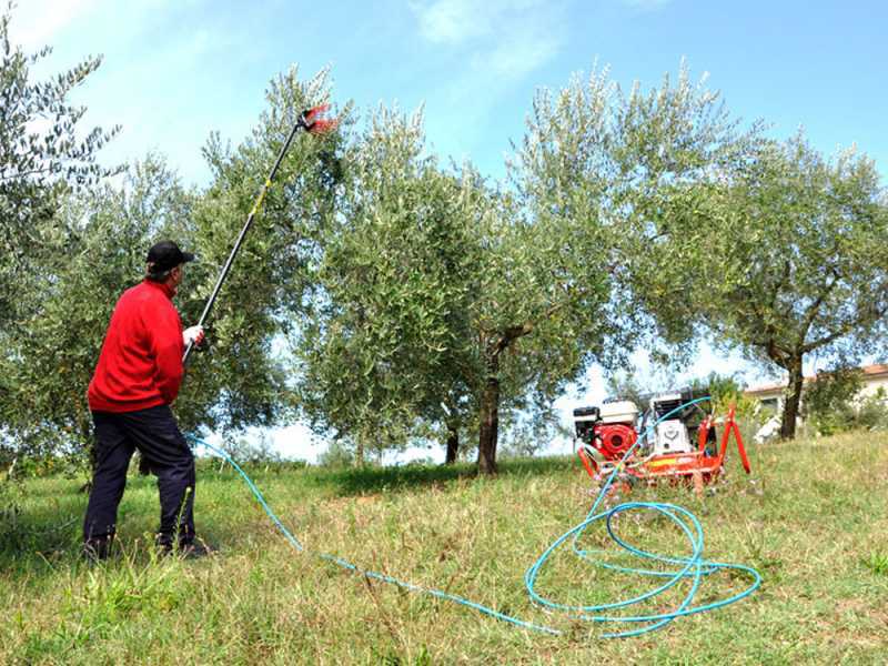 Lisam V8 Evo - Pneumatic Olive Harvester - 6 Bar Olive Shaker - 1900 Beats per Minute