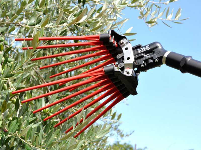 Lisam V8 Evo - Pneumatic Olive Harvester - 6 Bar Olive Shaker - 1900 Beats per Minute
