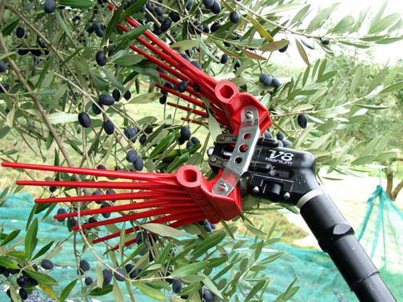 Lisam V8 Titanium - Pneumatic Olive Harvester - 6 Bar Olive Shaker - 2000 Beats per Minutee