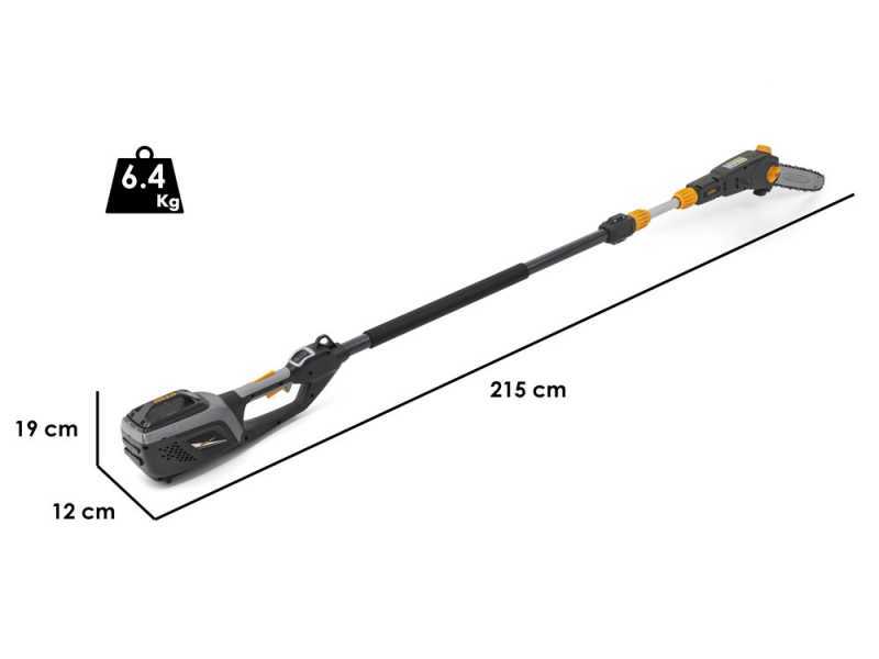 ALPINA AMT48Li kit Multi Tool Hedge Trimmer and Pruner on Extension Pole - 48 V 2Ah Battery