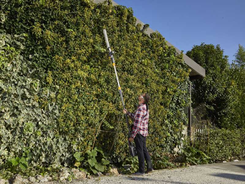 ALPINA AMT48Li kit Multi Tool Hedge Trimmer and Pruner on Extension Pole - 48 V 2Ah Battery