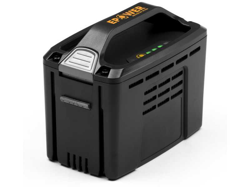 ALPINA AMT48Li kit Multi Tool Hedge Trimmer and Pruner on Extension Pole - 48 V 2Ah Battery