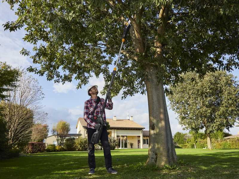 ALPINA AMT48Li kit Multi Tool Hedge Trimmer and Pruner on Extension Pole - 48 V 2Ah Battery